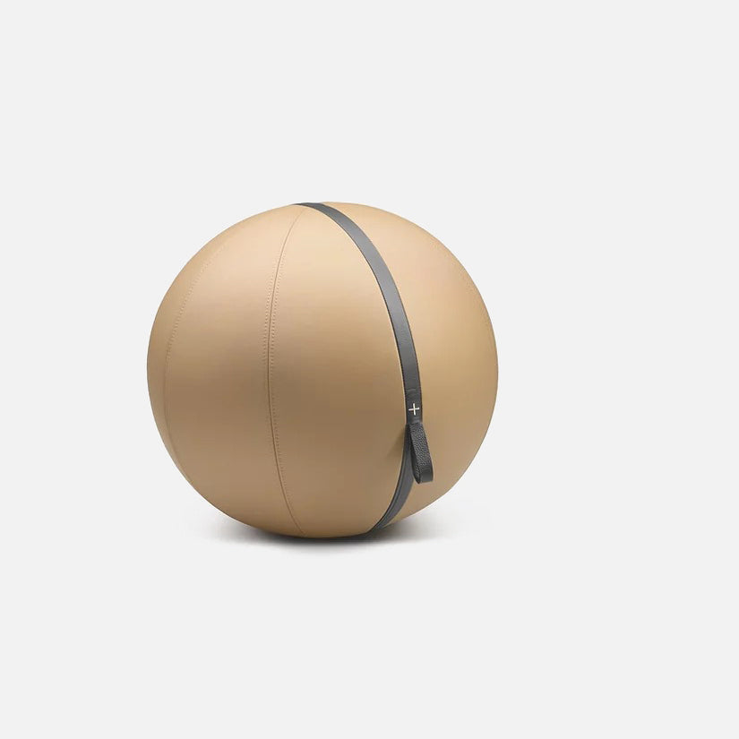 Mesno Exercise Ball
