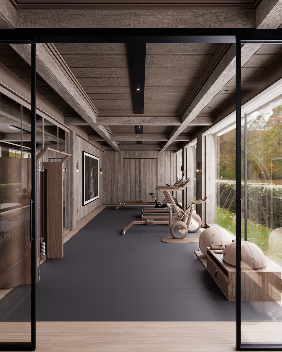 Switzerland Home Gym — strength studio and cardio pavilion