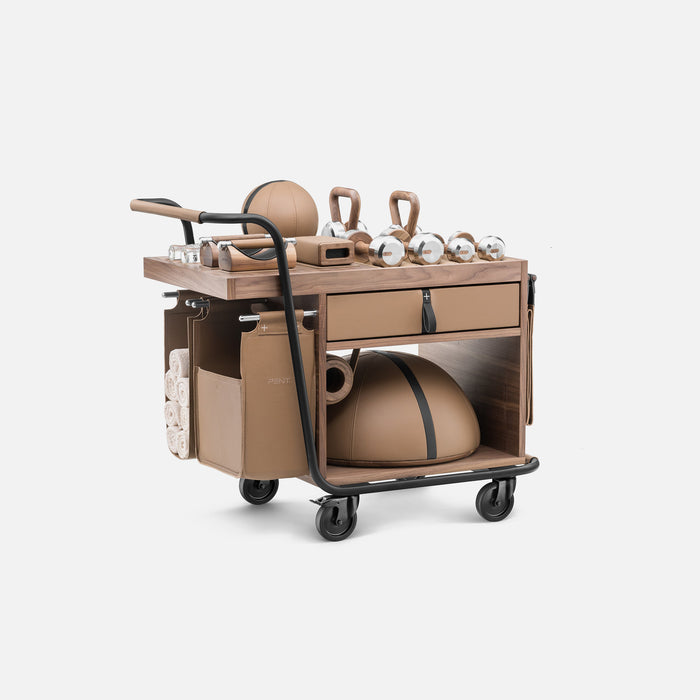 Sophia Mobile Gym Cart