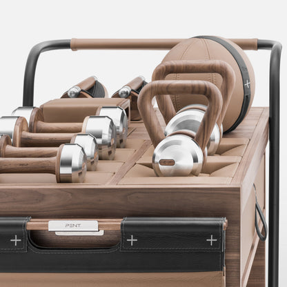 Sophia Mobile Gym Cart lifestyle image
