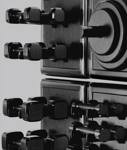 Dumbbell & Kettlebell Storage Wall System by Alama Studio