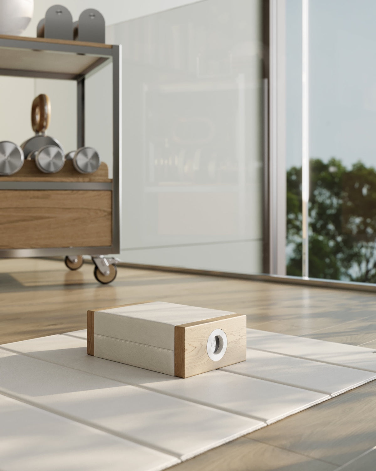 Kenn Training Cart by FYSIK — supplier view 5; representative wood, leather and stainless-steel finish