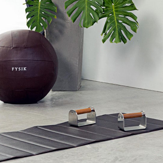 Dann Pushup Bars