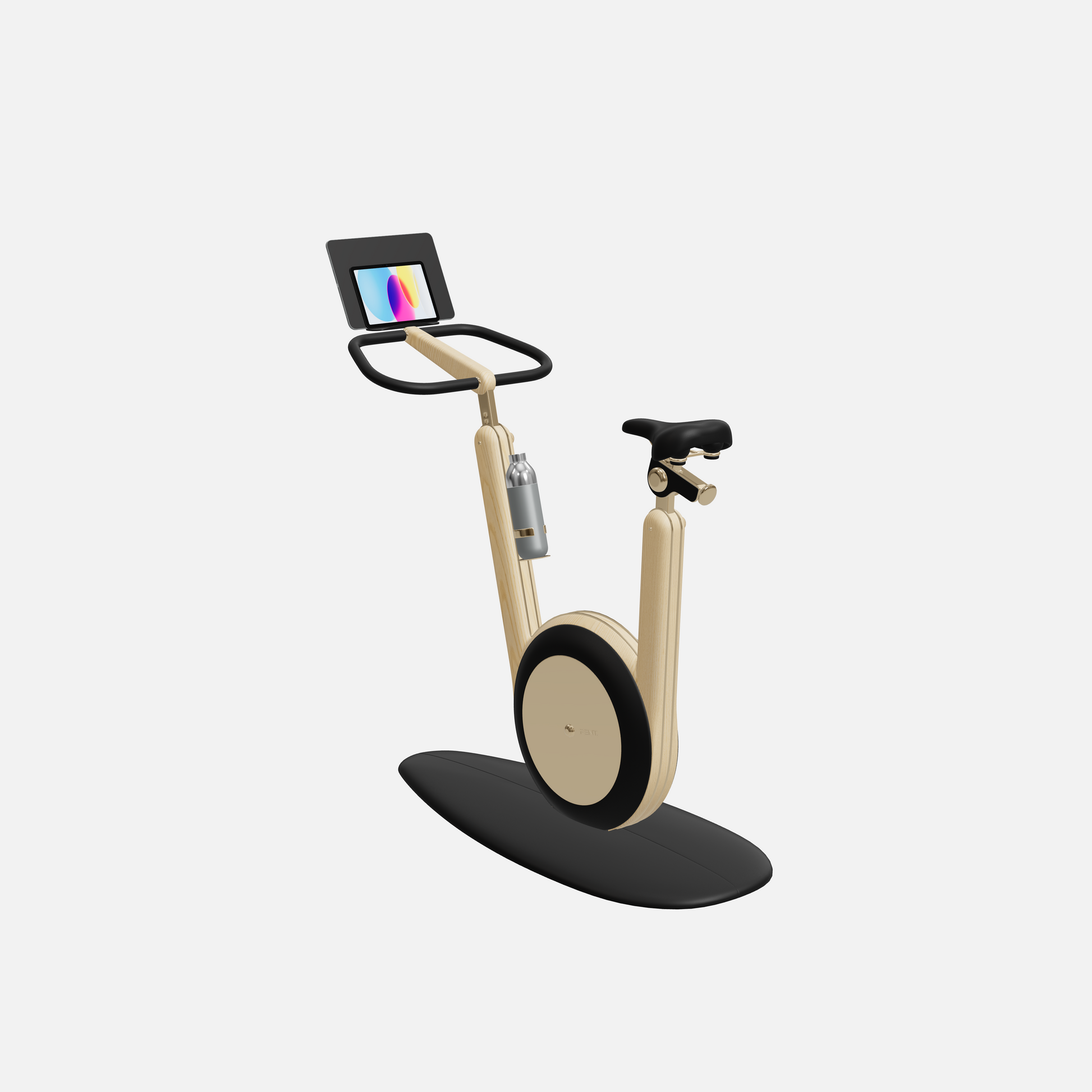 Hania Stationary Bicycle — Gold, Natural Ash, Black