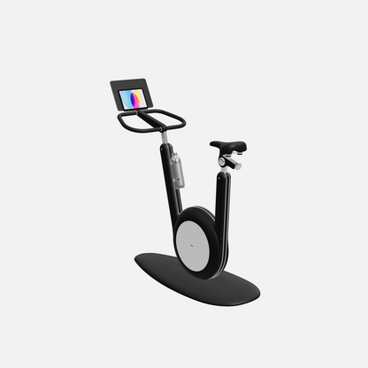 Hania Stationary Bicycle — Stainless Steel, Black Ash, Black