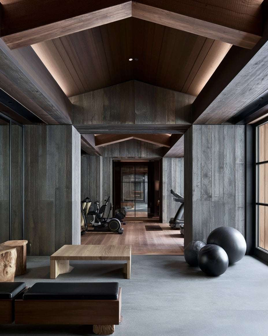 Swiss Alps Chalet Gym