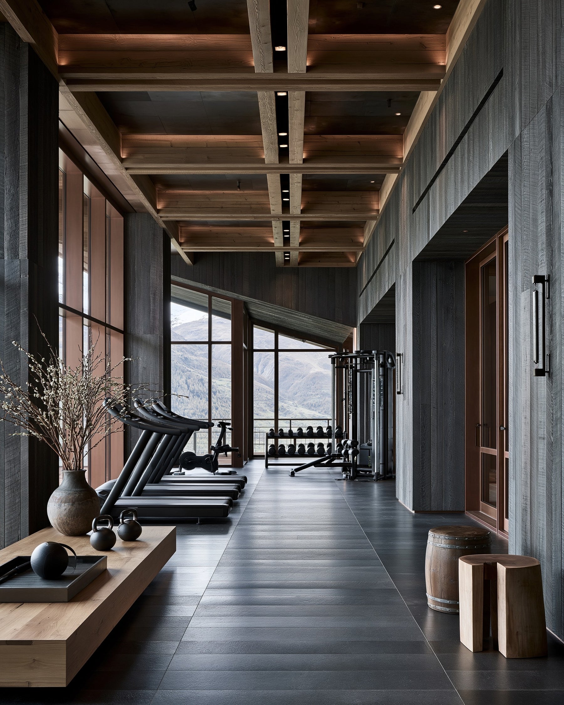 Swiss Alps Chalet Gym