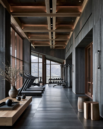 Swiss Alps Chalet Gym