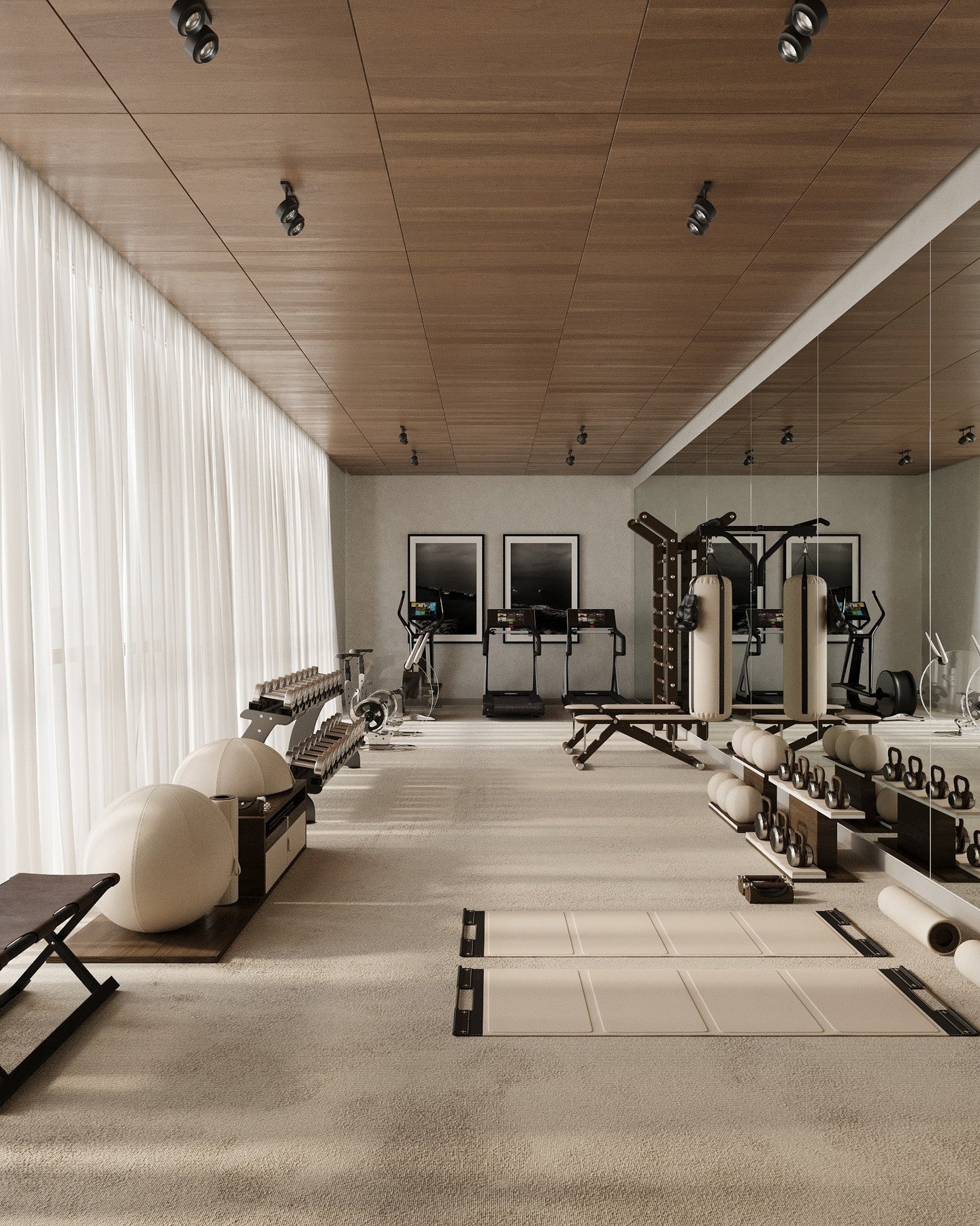 Signature Home Gym Concept - image 1