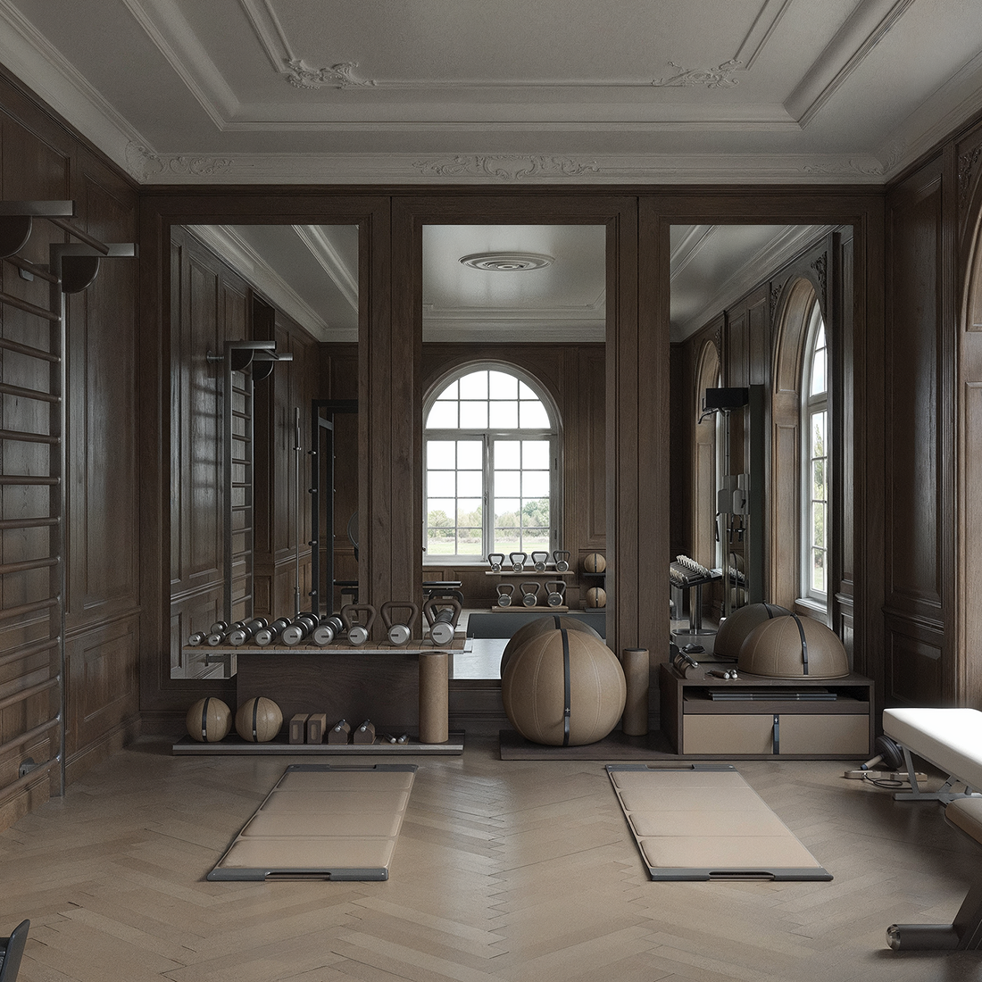 Curated visual reference: Visual Reference: Premium Luxury Home Gym Design