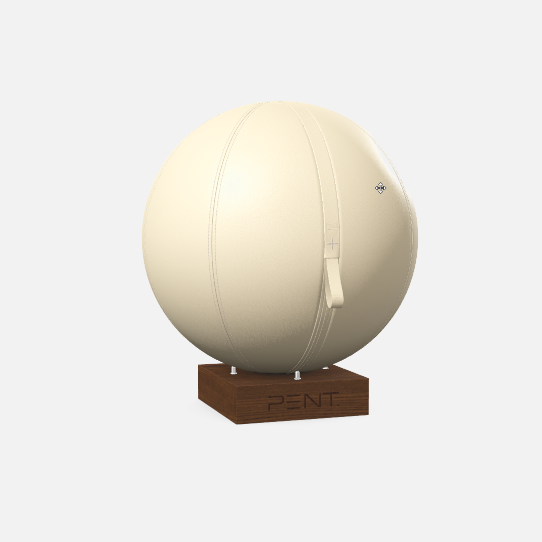 Mesno Exercise Ball