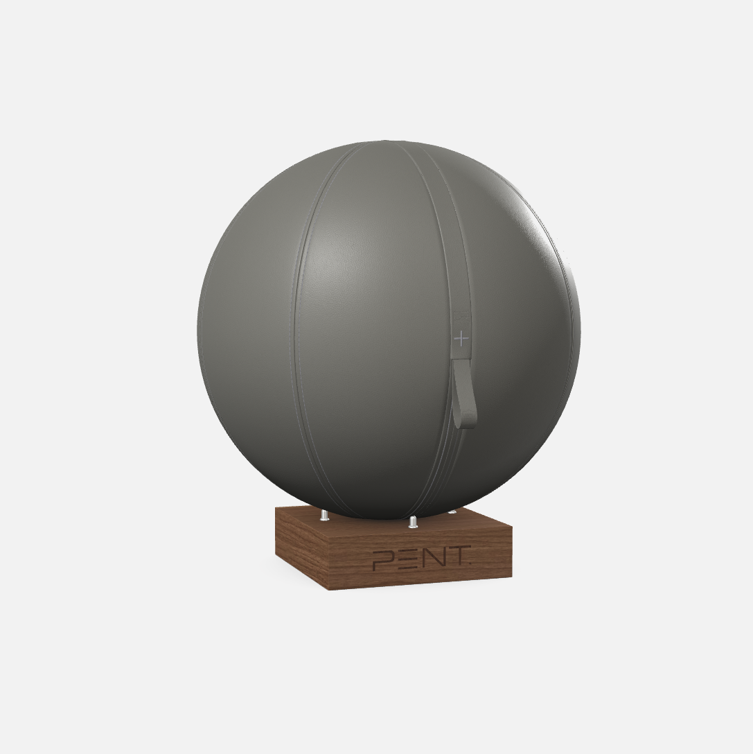 Mesno Exercise Ball