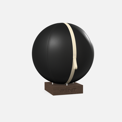 Mesno Exercise Ball