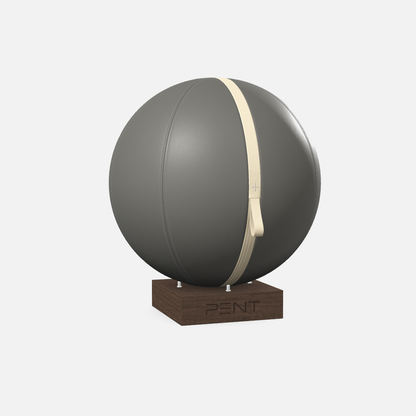 Mesno Exercise Ball