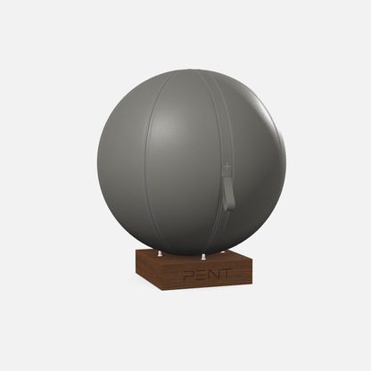 Mesno Exercise Ball