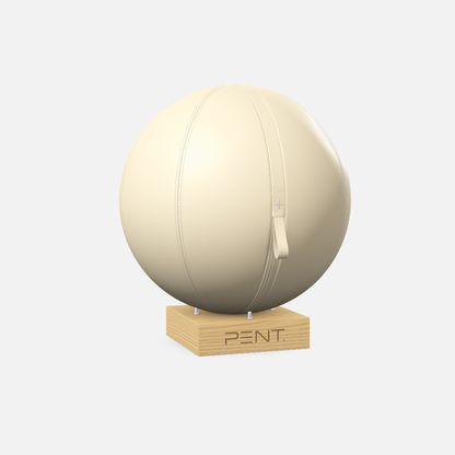 Mesno Exercise Ball