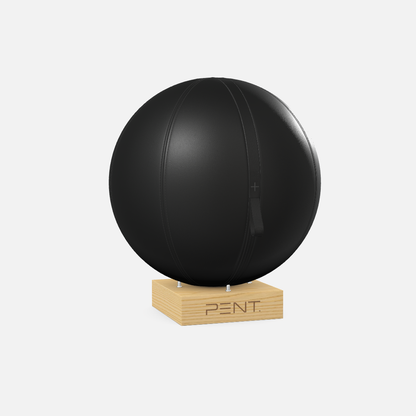 Mesno Exercise Ball