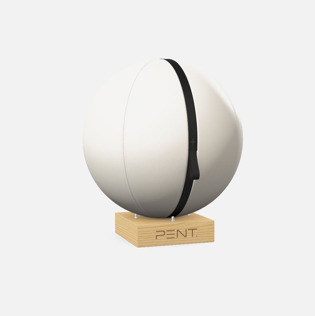 Mesno Exercise Ball