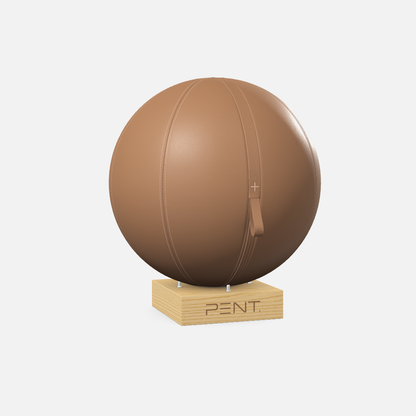 Mesno Exercise Ball