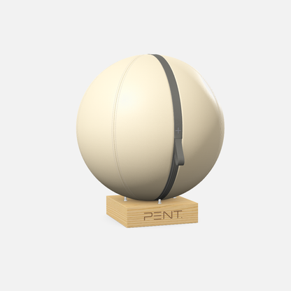 Mesno Exercise Ball