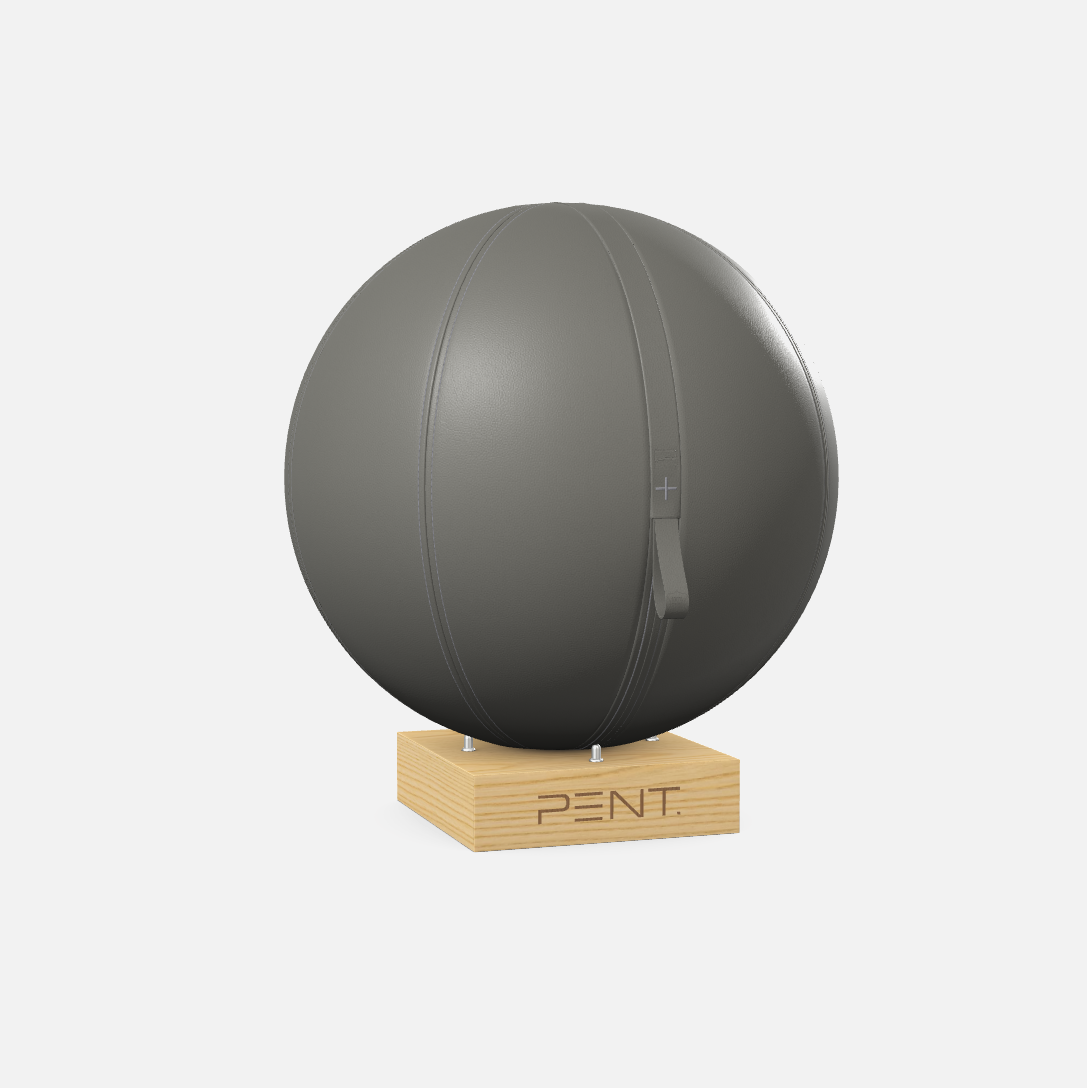 Mesno Exercise Ball