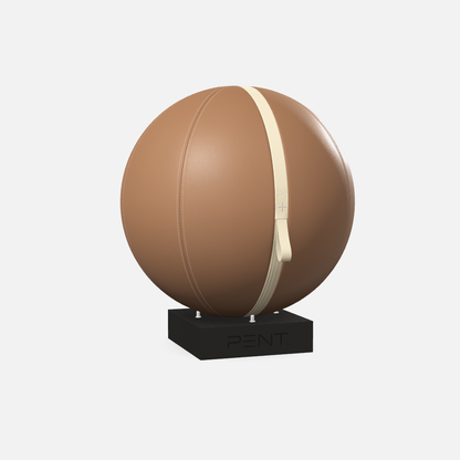 Mesno Exercise Ball