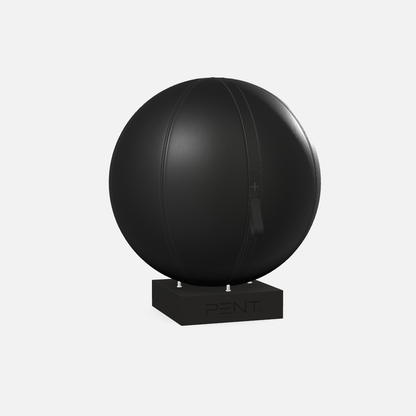 Mesno Exercise Ball