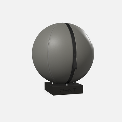 Mesno Exercise Ball