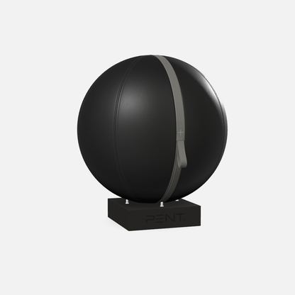 Mesno Exercise Ball
