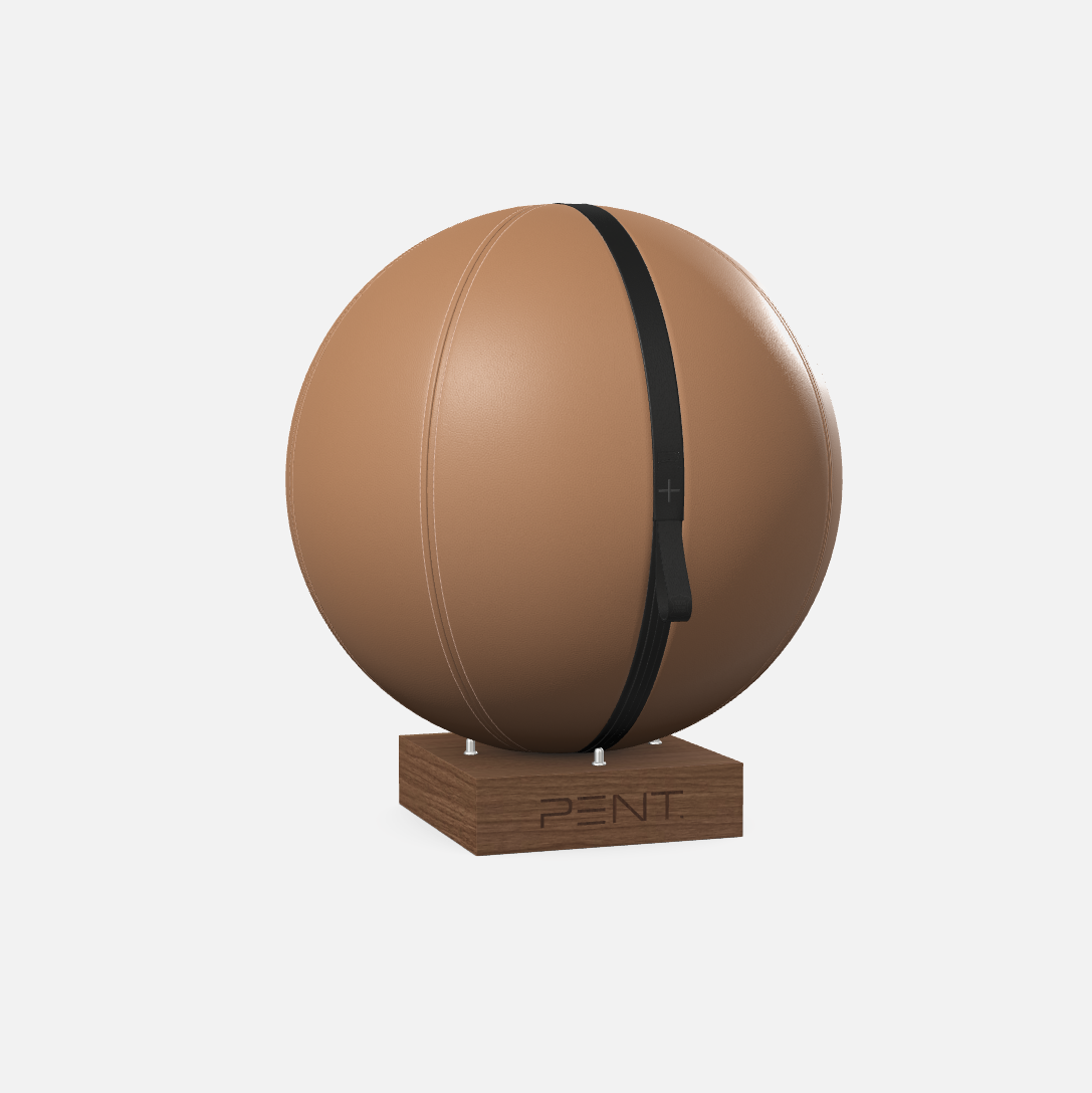 Mesno Exercise Ball