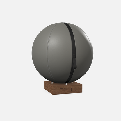 Mesno Exercise Ball