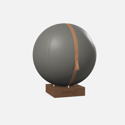 Mesno Exercise Ball