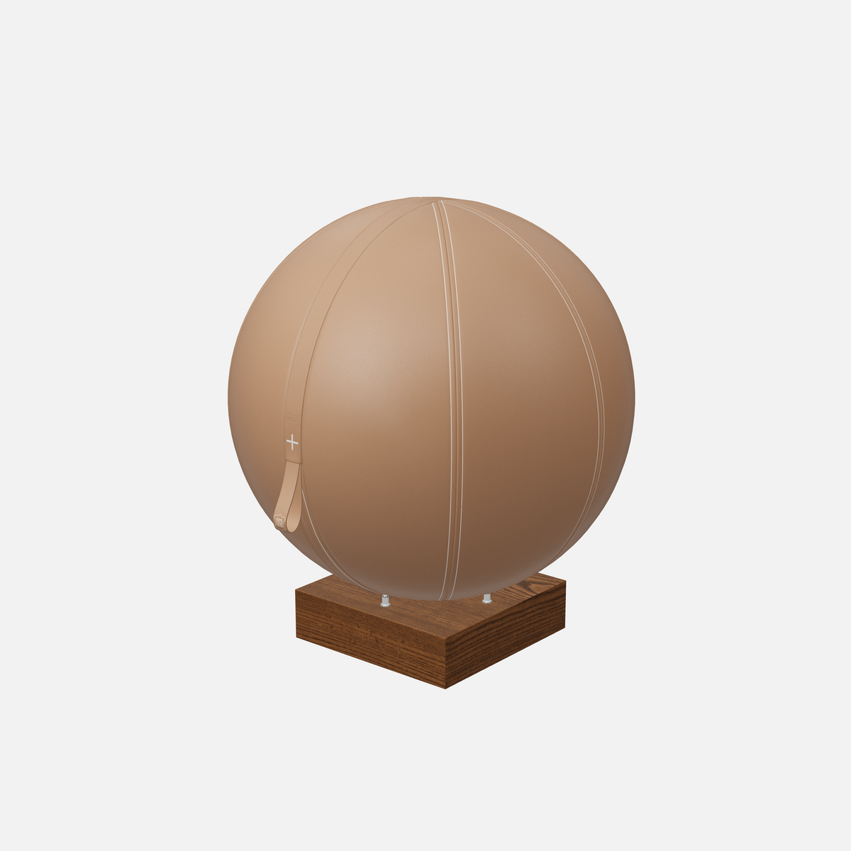 Mesno Exercise Ball