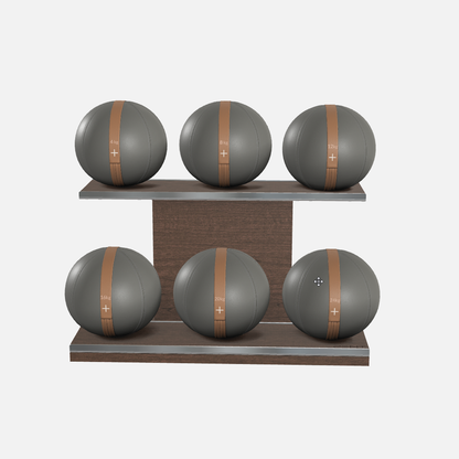 Moxa Leather Medicine Ball Set, Full