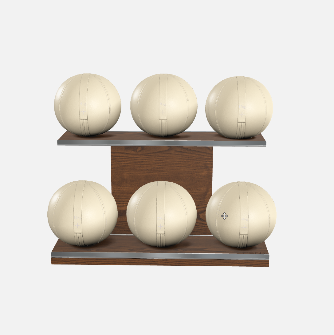 Moxa Leather Medicine Ball Set, Full