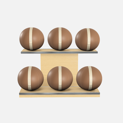 Moxa Leather Medicine Ball Set, Full
