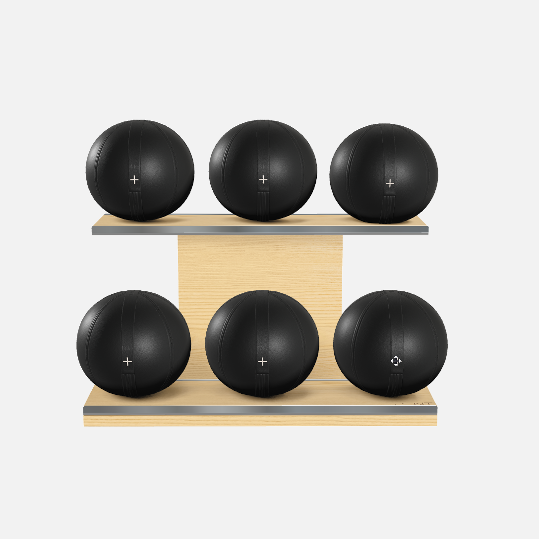 Moxa Leather Medicine Ball Set, Full