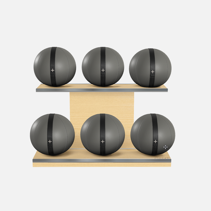 Moxa Leather Medicine Ball Set, Full