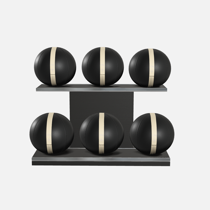 Moxa Leather Medicine Ball Set, Full
