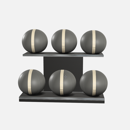 Moxa Leather Medicine Ball Set, Full