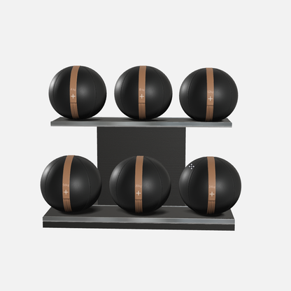 Moxa Leather Medicine Ball Set, Full