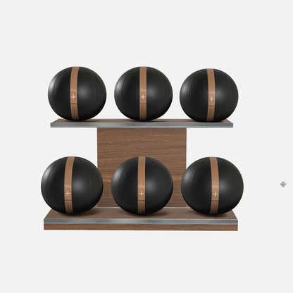Moxa Leather Medicine Ball Set, Full