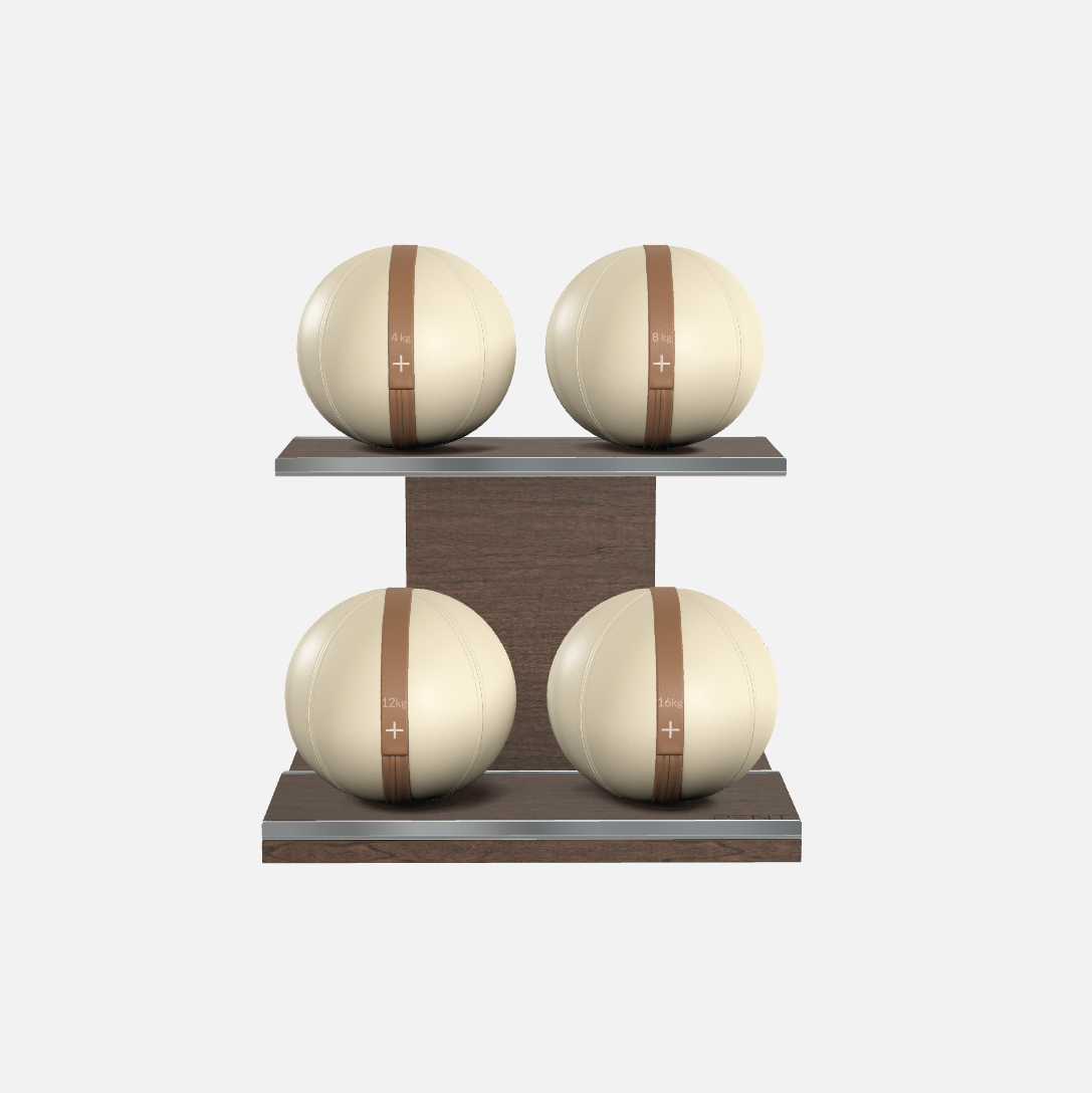 Moxa Leather Medicine Ball Set, Light