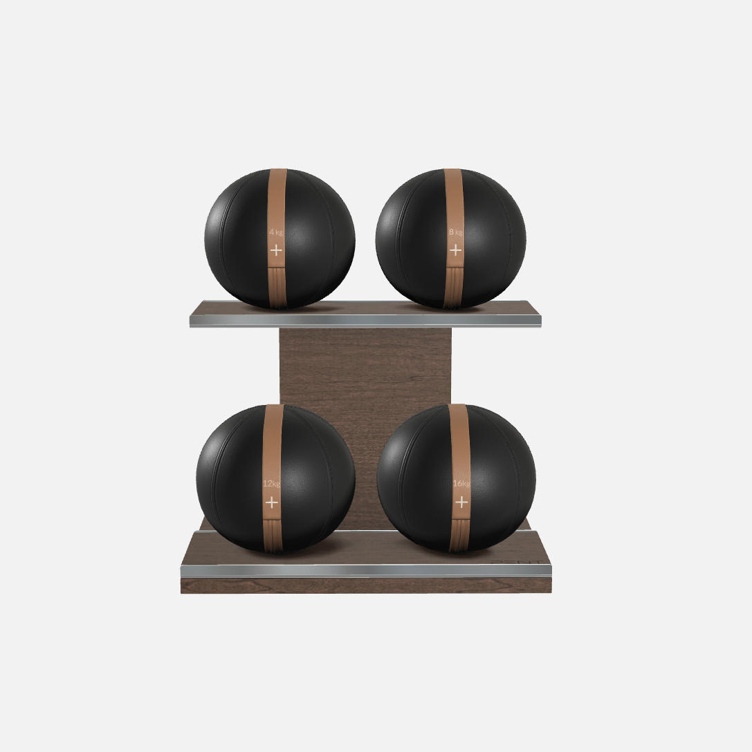 Moxa Leather Medicine Ball Set, Light