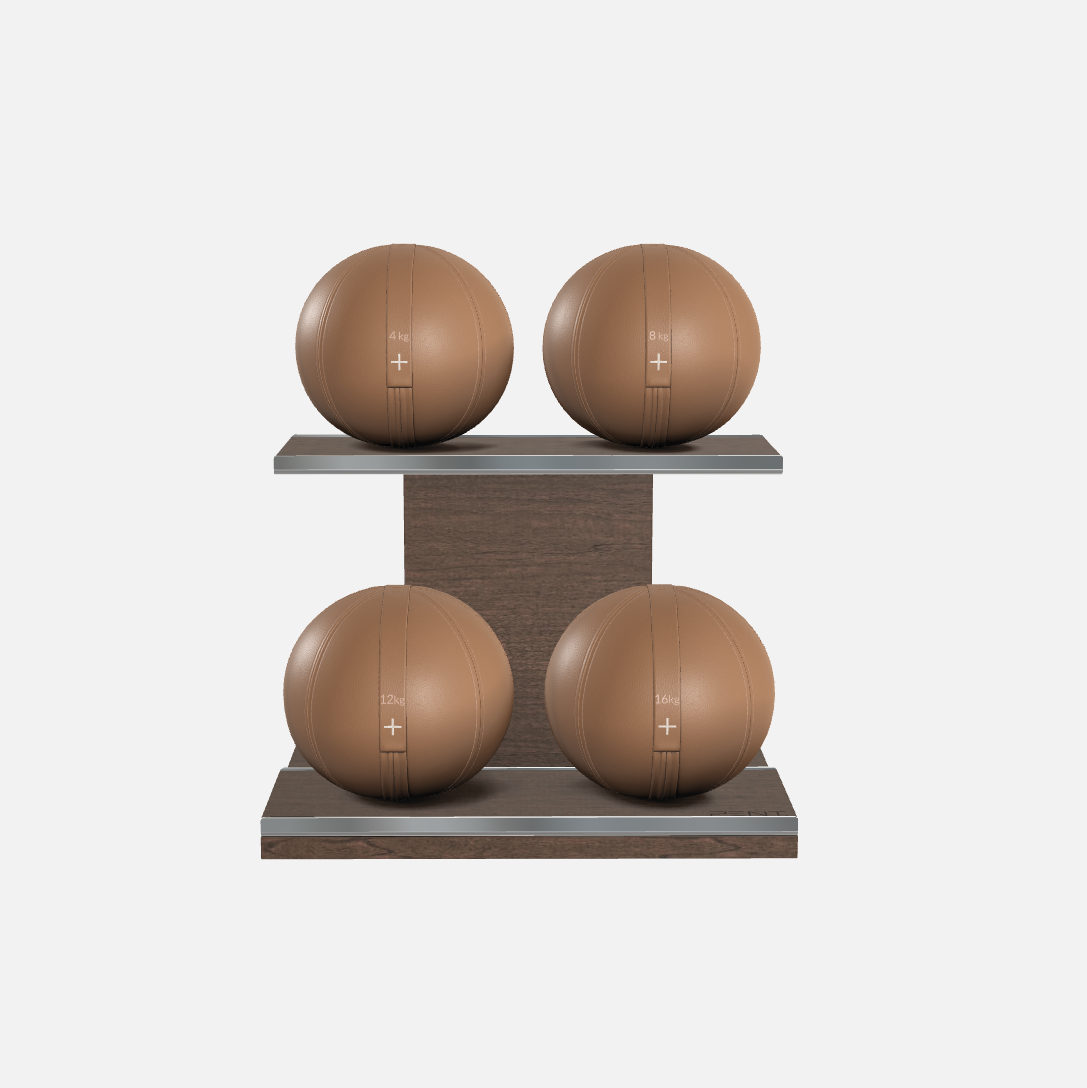 Moxa Leather Medicine Ball Set, Light