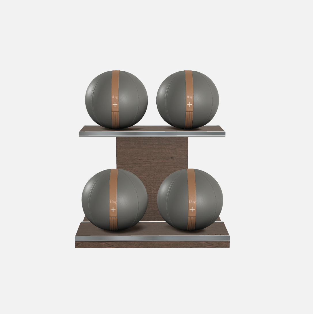 Moxa Leather Medicine Ball Set, Light