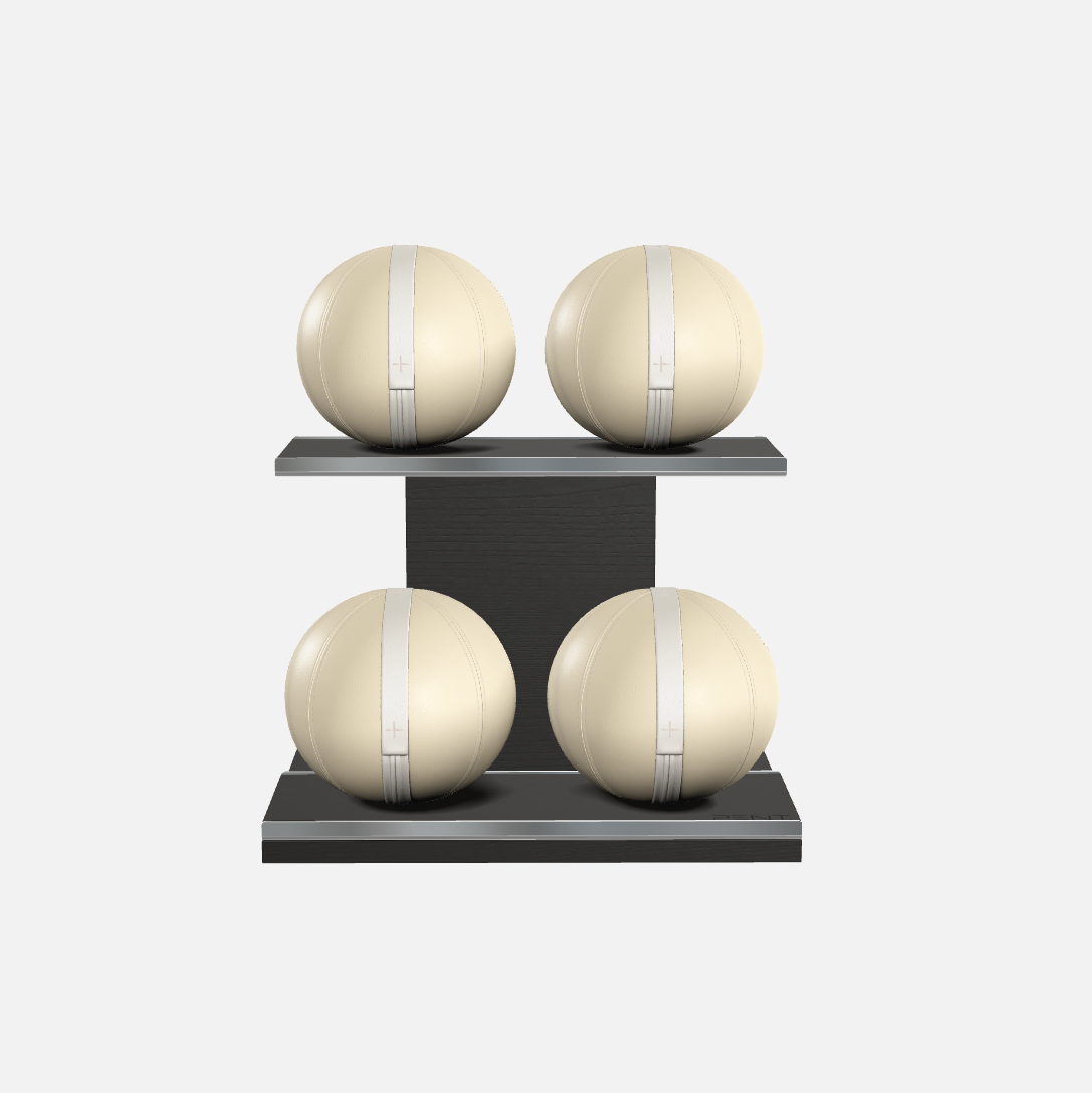 Moxa Leather Medicine Ball Set, Power