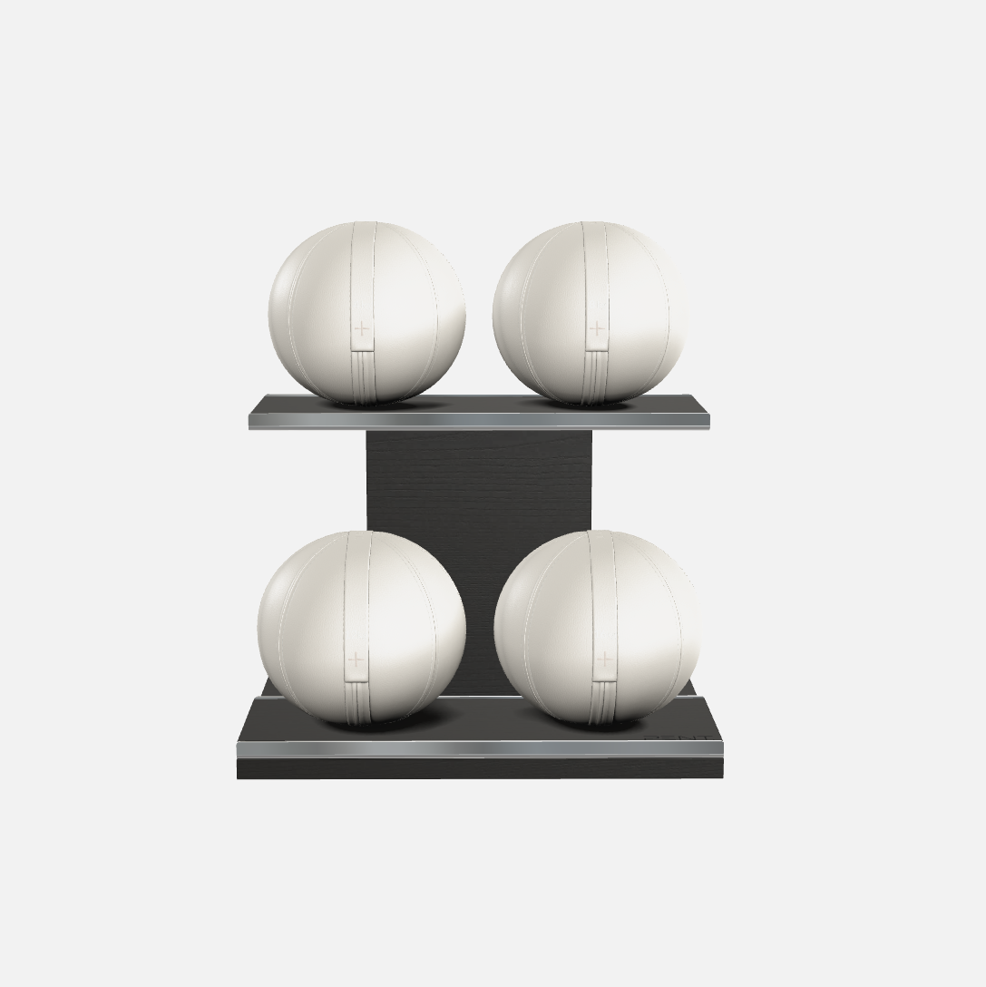 Moxa Leather Medicine Ball Set, Power