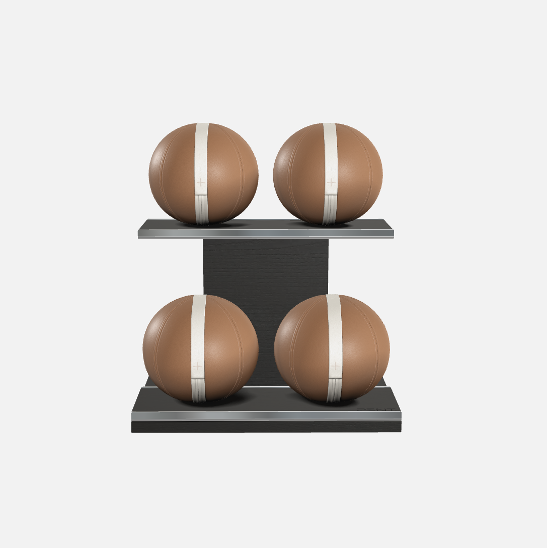 Moxa Leather Medicine Ball Set, Power