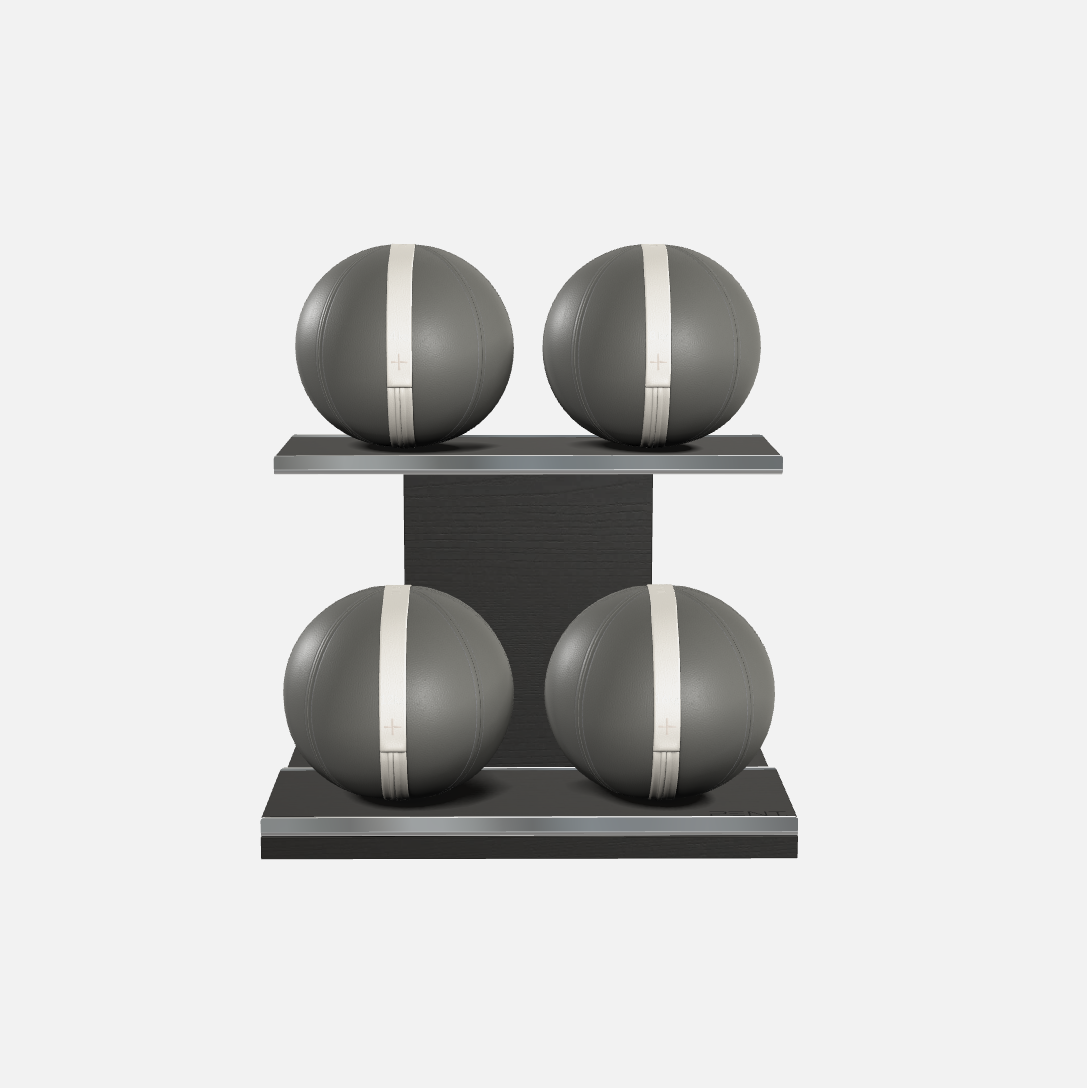 Moxa Leather Medicine Ball Set, Power
